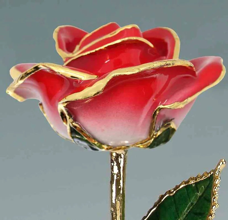 24k Gold Trimmed Roses - Choose your Favorite Color