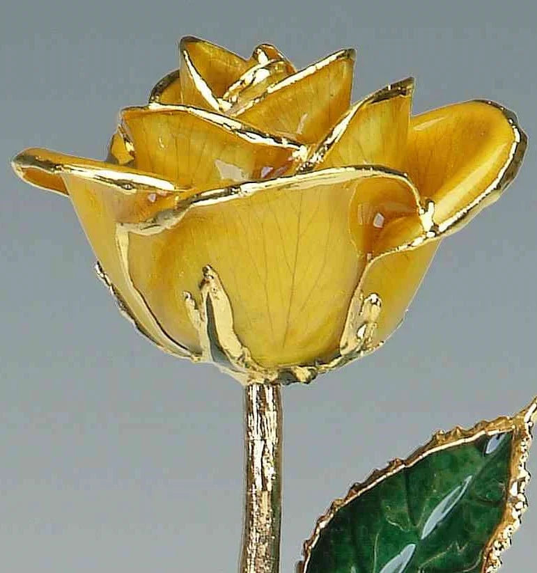 24k Gold Trimmed Roses - Choose your Favorite Color